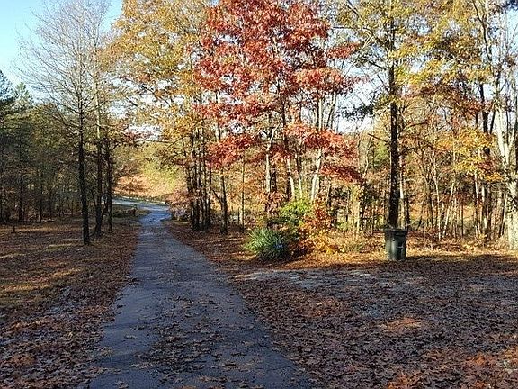 Driveway from house to Wells Highway.