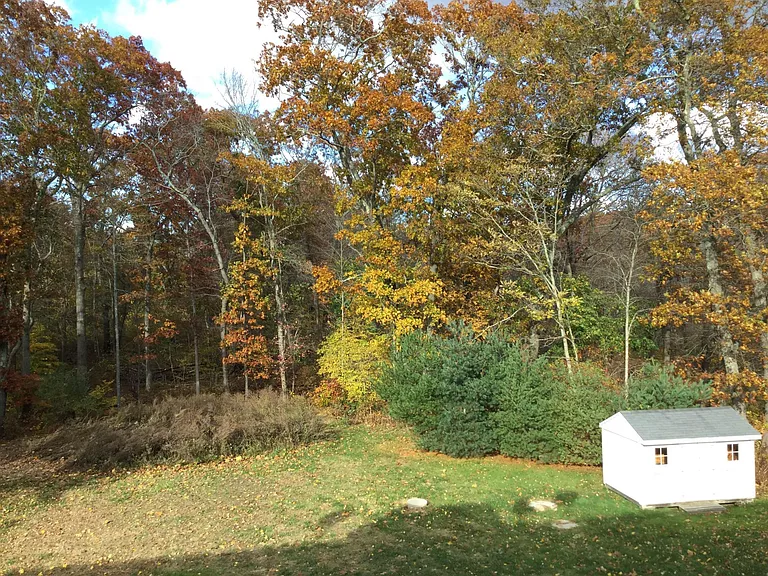 30 Dana Rd #3B — Photo 35