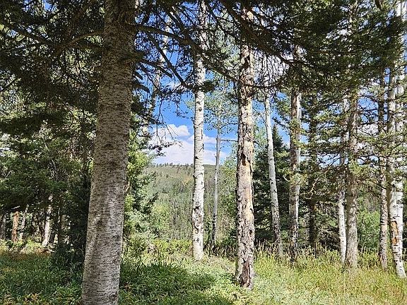 5th image of 604 Snowshoe Lane
