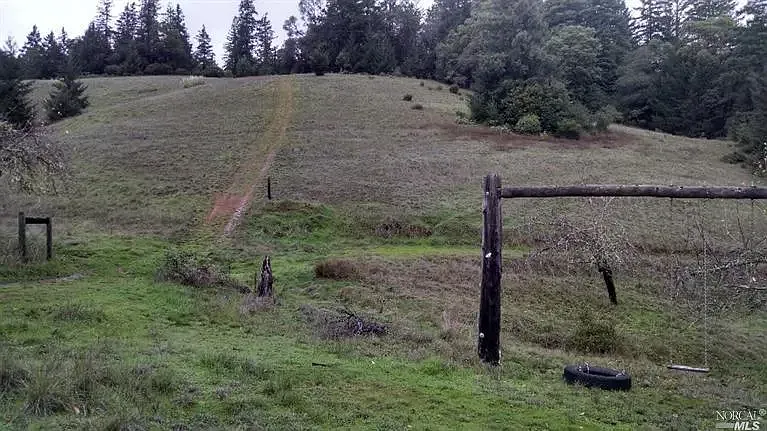 13333 Low Gap Rd — Photo 15