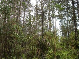 Road 6 Ooaa LOT 4350, Mountain View, HI 96771