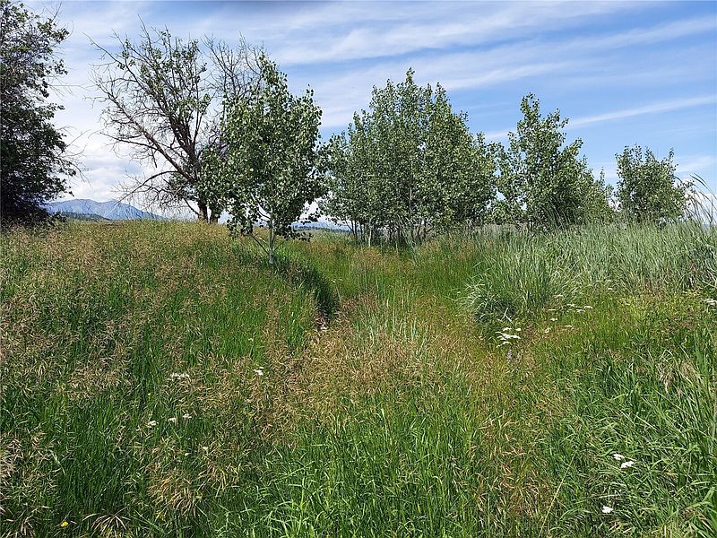 3rd image of 0 XX Ellemeham Mountain Road