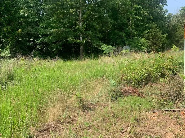 U Hwy #U-1-1, Doniphan, MO 63935