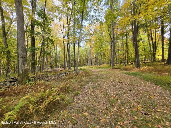 Lot 36 Evergreen Lane, Narrowsburg, NY 12764