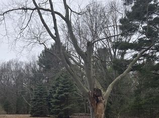 Nestrom Rd, Whitehall, MI 49461