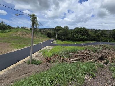 Carr 103 Km109 Bo Boqueron Camino, Cabo Rojo, PR, 00623