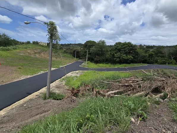 Carr 103 Km109 Bo Boqueron Camino, Cabo Rojo, PR 00623
