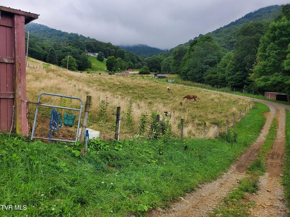1010 Heaton Creek Rd, Roan Mountain, TN 37687