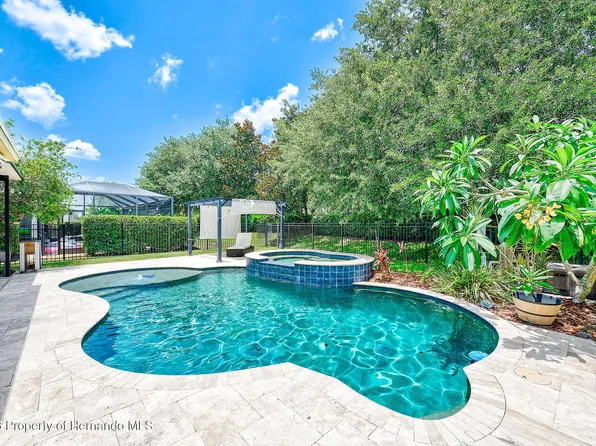 2917 Winglewood Cir, Lutz, FL 33558