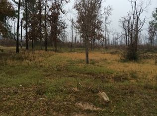 25320 Bluff View Ct, Magnolia, TX 77355