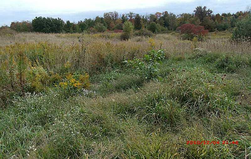 2nd image of 7463 Warner Rd