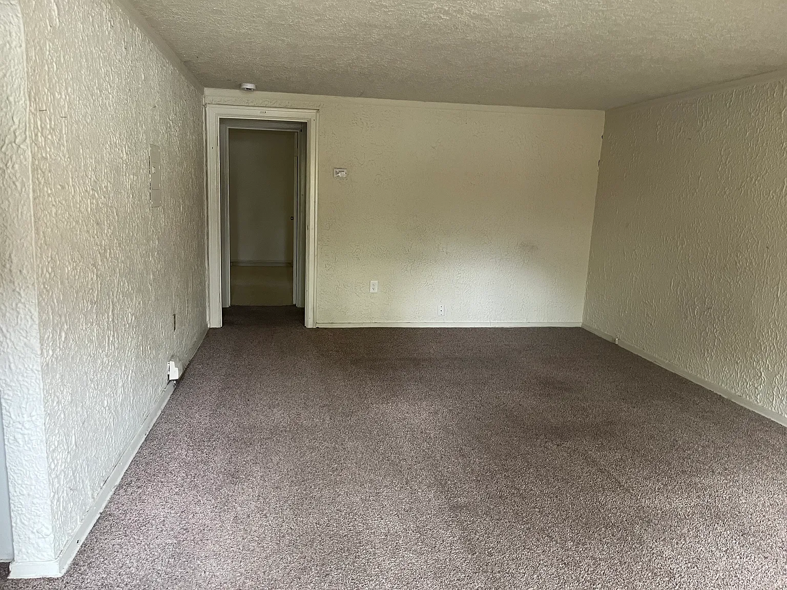 1 bed, $1,295 — Photo 4