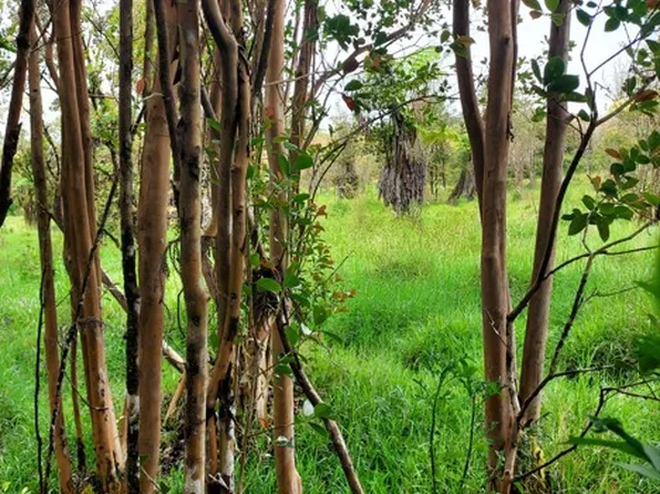 18-4411 N Glenwood Rd, Mountain View, HI 96771