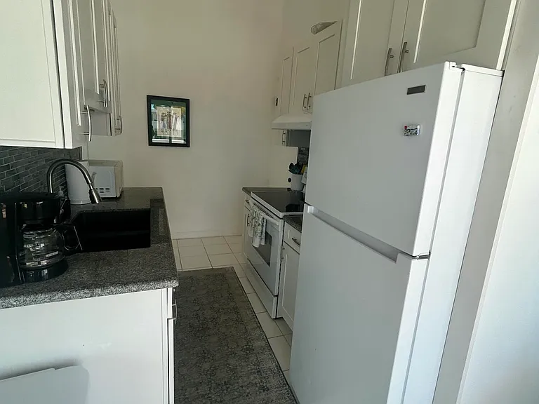 V4 La Grande Princesse Cir — Photo 15
