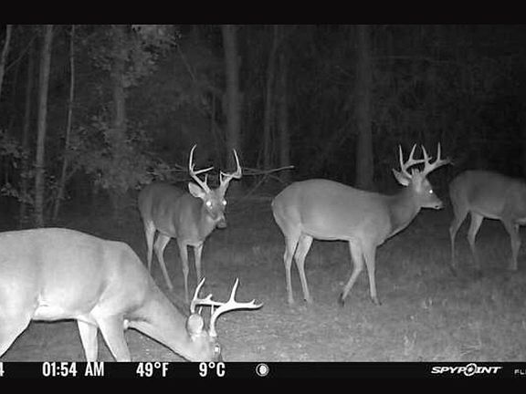 3rd image of Greensboro Hwy