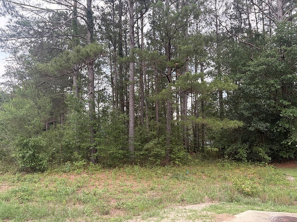2nd image of 115 Marys Ct