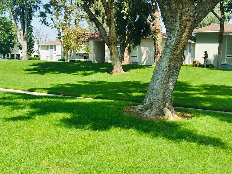 26200 Redlands Blvd #36 — Photo 9