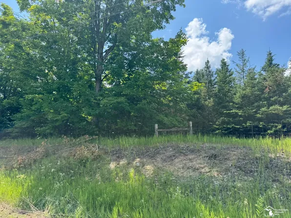 0 Hayes Tower Rd, Gaylord, MI 49735