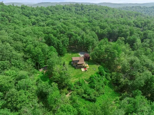 53 Lexie Lane, Roscoe, NY 12776