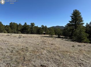 156 Marion Ln, Cotopaxi, CO 81223