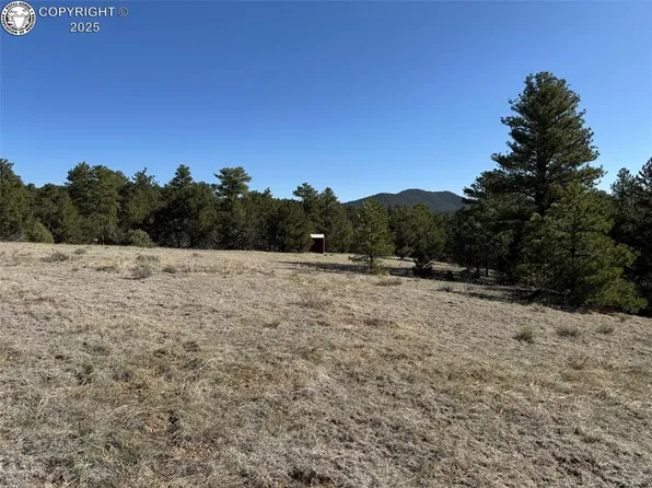 156 Marion Ln, Cotopaxi, CO 81223