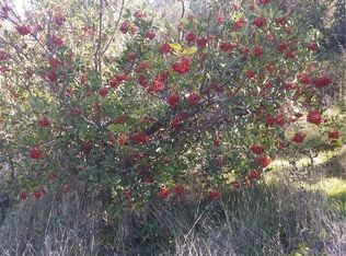 3509 Garfield Ave, Clearlake, CA