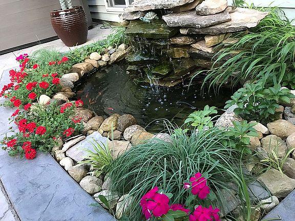 Small pond 