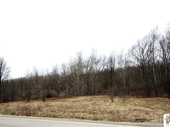 8528 Jackson Hill Rd #17, Friendship, NY 14739