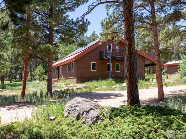 187 Lynx Dr, Ward, CO 80481