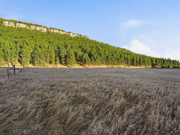 5th image of 12762 Nemo Rd