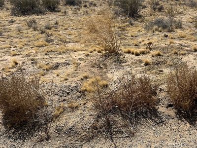 0 Santa Rosa Rd LOT 769, Desert Hot Springs, CA, 92240