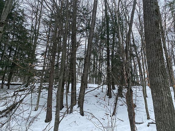 2nd image of N Ogemaw Trl