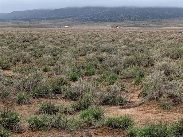 57625 CO Road CC, Moffat, CO 81143