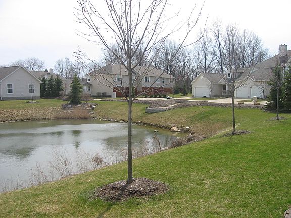 Pond 