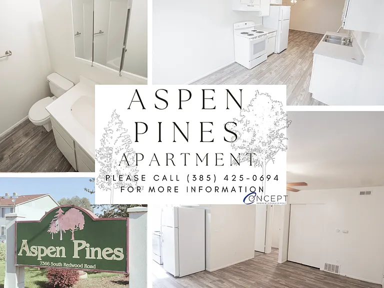 Aspen Pines — Photo 262