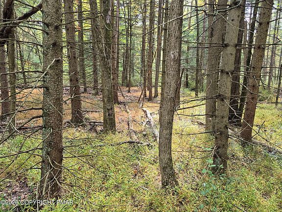 2nd image of Millheim Rd