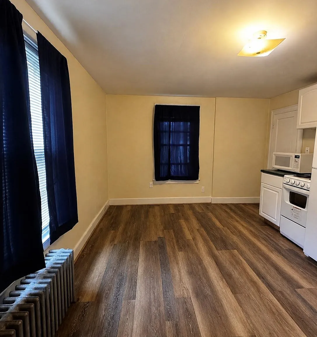 1 bed, 1.0 bath, $1,250 — Photo 4