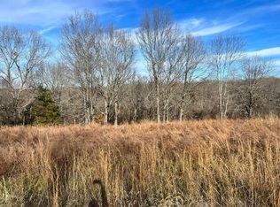 151 Middlegate Pl, Reeds Spring, MO 65737