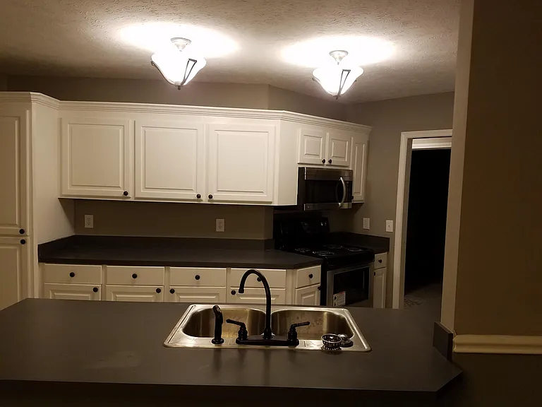 100 Ole Duke Dr — Photo 4