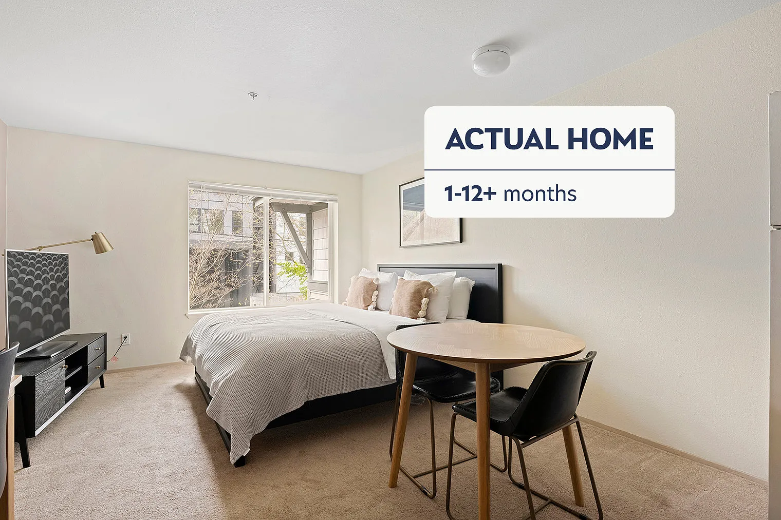 Studio, 1.0 bath, 426 sqft, $1,580 — Photo 1