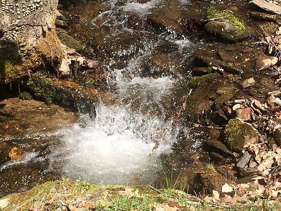 4th image of 20 Long Creek Ln