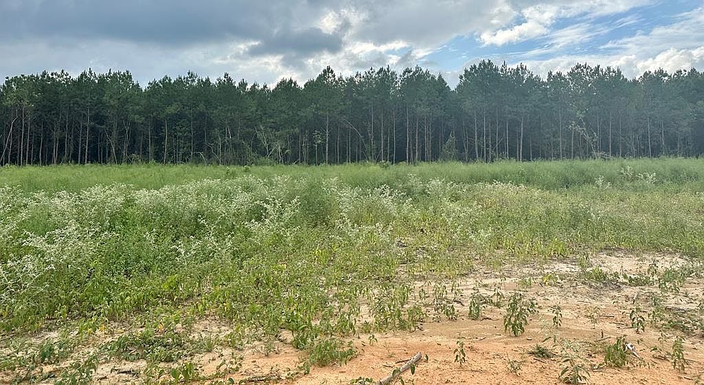 2009 Maverick Ln, Bogue Chitto, MS 39629 MLS 140012 Zillow
