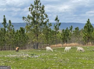 2595 Beavers Rd, Summerville, GA 30747