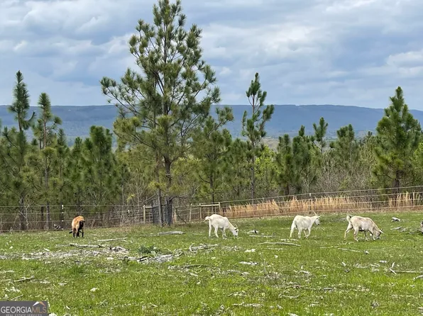 2595 Beavers Rd, Summerville, GA 30747