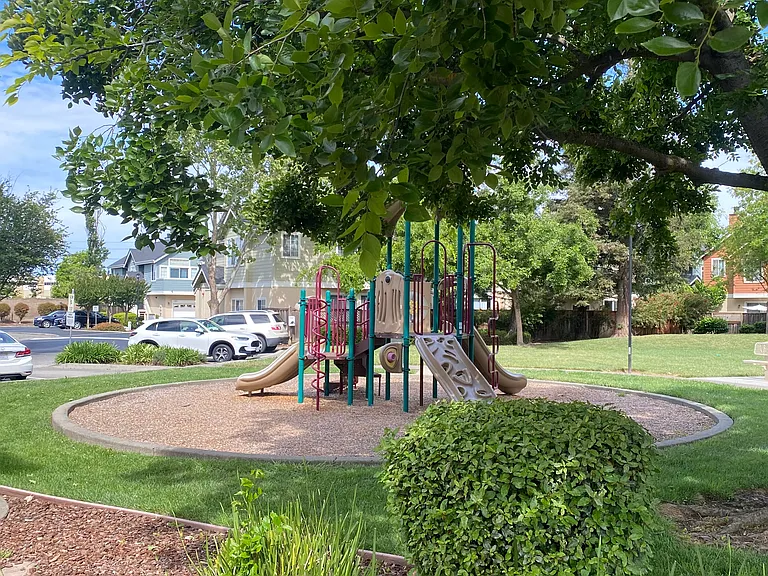 Community Park