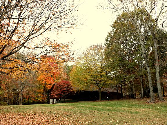 4th image of 6038 River Cabin Ln