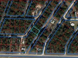 NE 156th Ct LOT 12, Williston, FL 32696