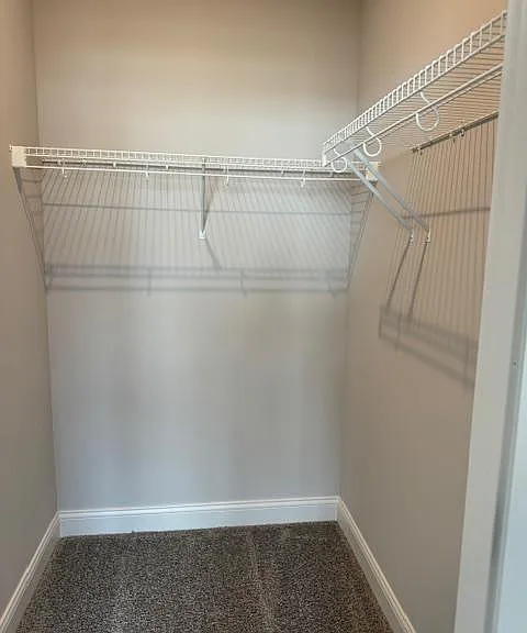 Mustang Cir — Photo 22