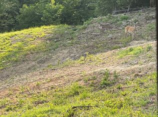 1029 Red Bud Ln, Rogersville, TN 37857