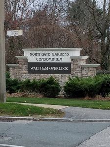 41 Lionel Ave APT D, Waltham, MA, 02452